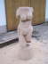 desi_001