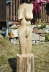 desi_003
