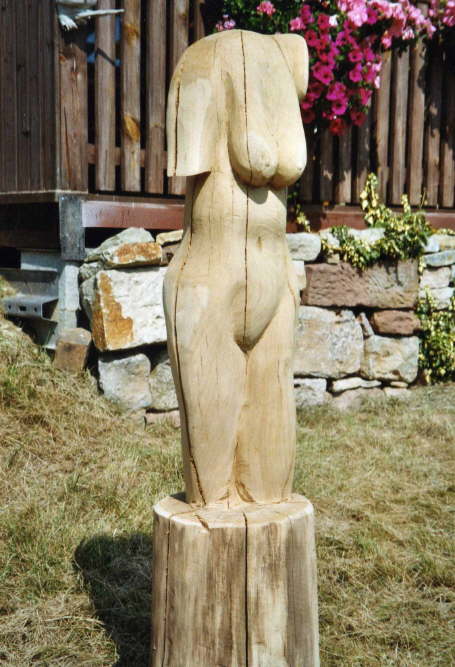 desi_003