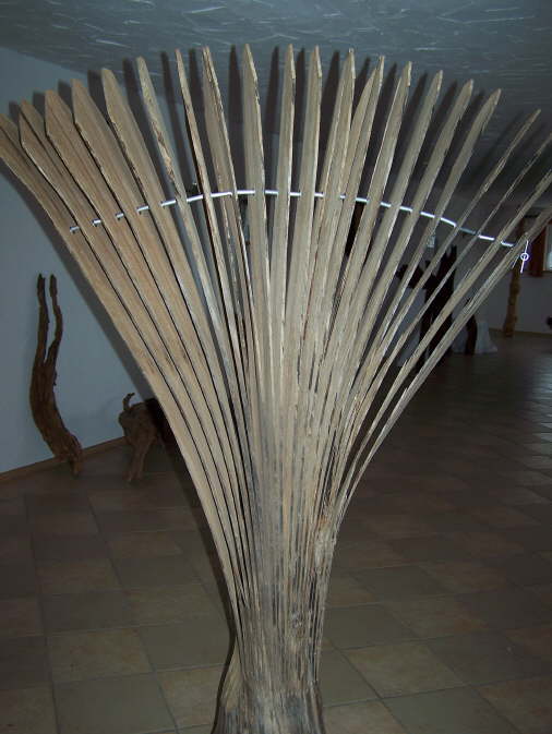 desi_010