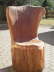 desi_025