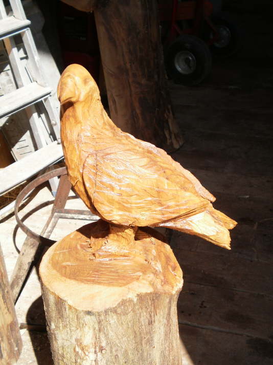 galeB_07