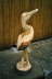gale_038