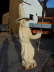 gale_055